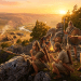 Soldiers in camouflage gear using binoculars and rifles while observing a camp at dusk from rocky terrain